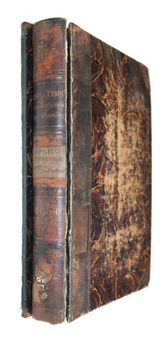 Engler, A.; Prantl, K. (Eds) - Die natrlichen Pflanzenfamilien nebst ihren Gattungen und wichtigeren Arten. IV Teil. Abt. 1 und 2: Dicotyledoneae, Sympetalae