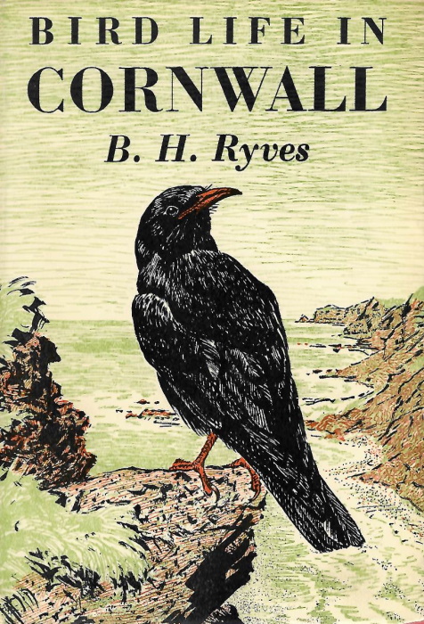 Ryves, B.H. - Bird Life in Cornwall