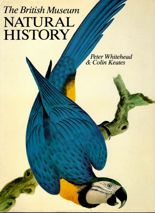 Whitehead, P.; Keates, C. (Illus.) - The British Museum (Natural History)