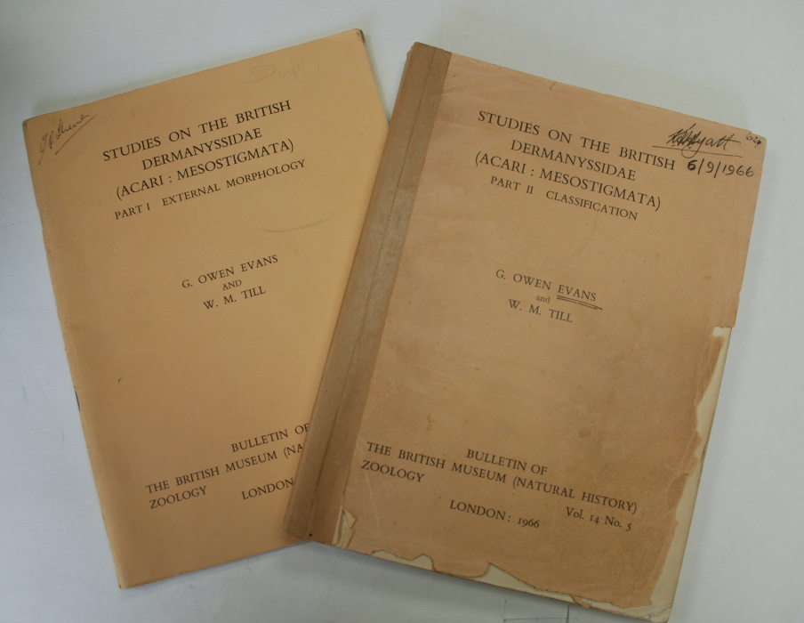 Evans, G.O.; Till, W.M. - Studies on the British Dermanyssidae (Acari: Mesostigmata) Part I External Morphology, Part II Classification
