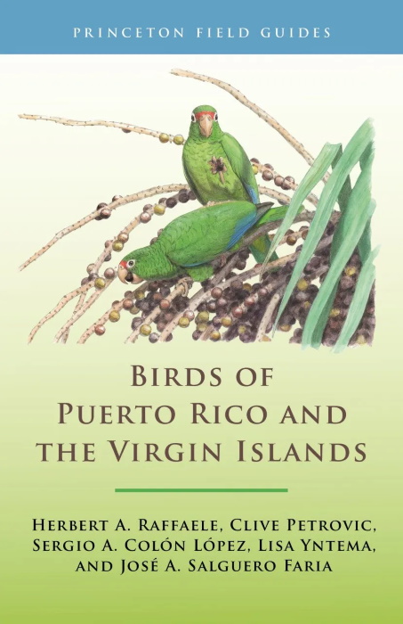 Raffaele, H.A.; Petrovic, C.; Colon Lopez, S.A.; Yntema, L.D.; Salguero Faria, J.A. - Birds of Puerto Rico and the Virgin Islands:
