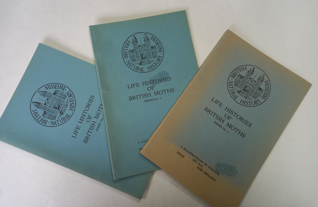 British Museum (Natural History); [Frohawk, F.W.] - Life Histories of British Moths. Series 1-3