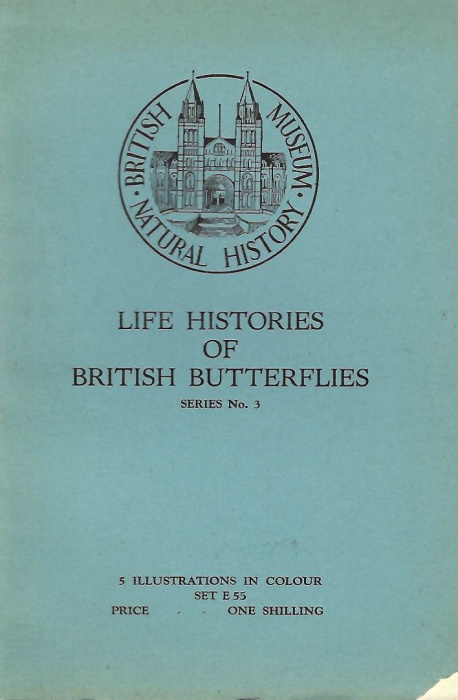 British Museum (Natural History); [Frohawk, F.W.] - Life Histories of British Butterflies. Series No. 3