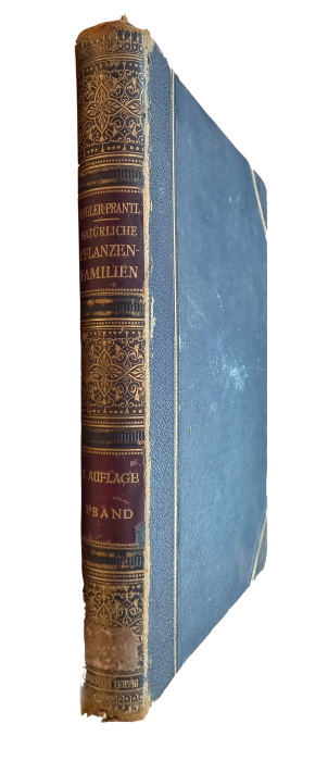 Engler, A.; Prantl, K. (Eds); Printz, H. - Die natrlichen Pflanzenfamilien nebst ihren Gattungen und wichtigeren Arten. Bd 3: Chlorophyceae (nebst Conjugatae, Heterocontae und Charophyta)