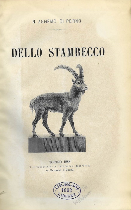 Agheno di Perno, N. - Dello Stambecco