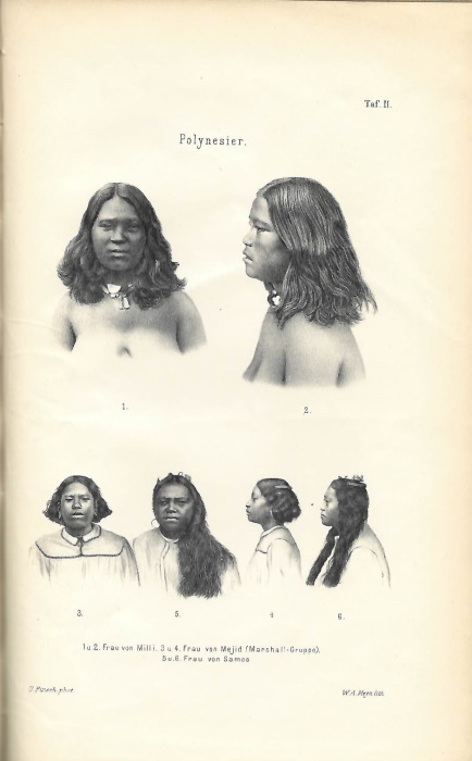 Finsch, O. - Anthropologische Ergebnisse einer Reise in der Sdsee und dem malayischen Archipel in den Jahren 1879-1882. Beschreibender Catalog der auf dieser Reise gesammelten Gesichtsmasken von Vlkertypen