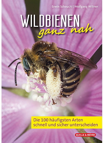 Scheuchl, E.; Willner, W. - Wildbienen ganz nah: Die 100 hufigsten Arten schnell und sicher unterscheiden [Wild bees up close: Differentiate the 100 most common species quickly and reliably]