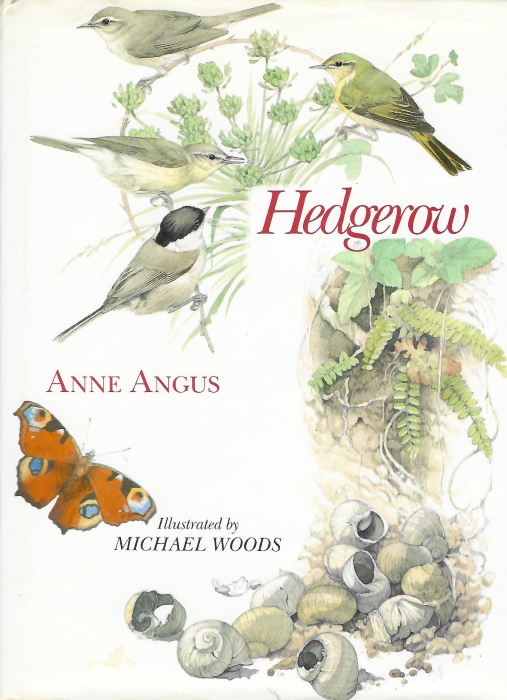 Angus, A. - Hedgerow