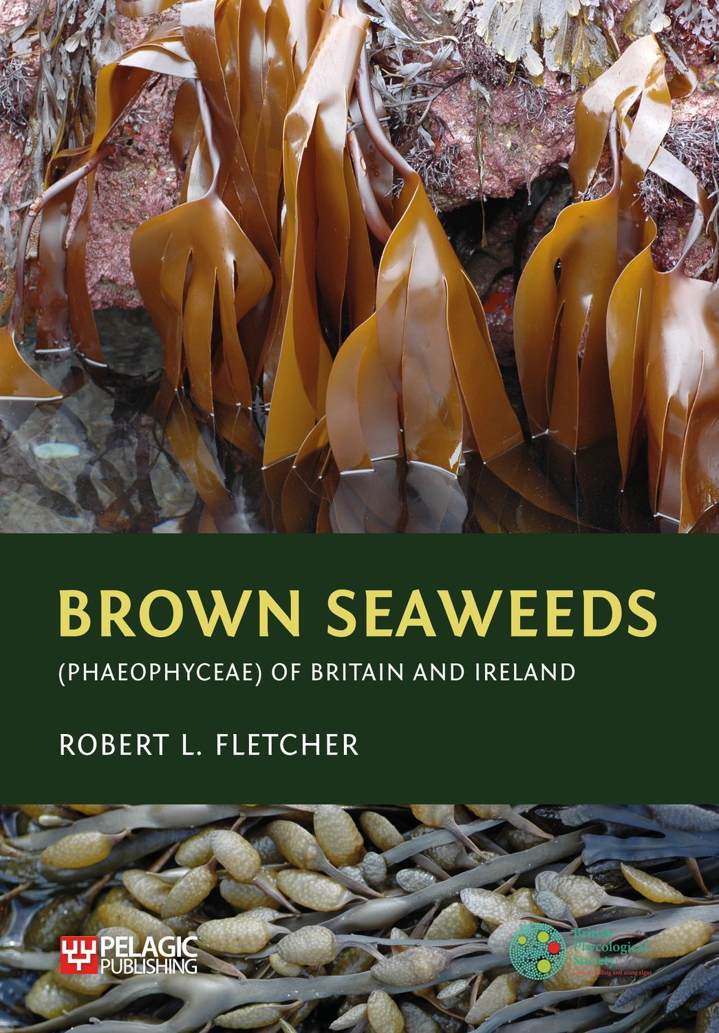 Fletcher, R.L. - Brown Seaweeds (Phaeophyceae) of Britain and Ireland