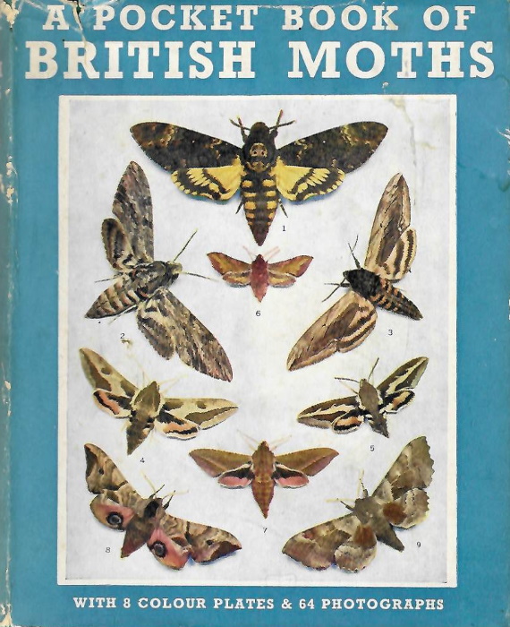 Hyde, G.E. - A Pocket-Book of British Moths