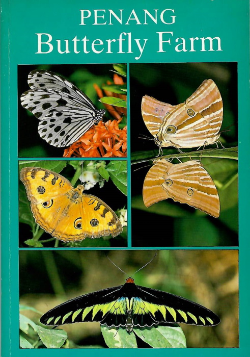  - Penang Butterfly Farm: A Guide