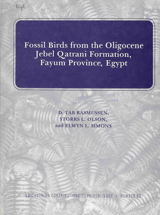 Rasmussen, D.T.; Olson, S.L.; Simons, E.L. - Fossil Birds from the Oligocene Jebel Qatrani Formation, Fayum Province, Egypt
