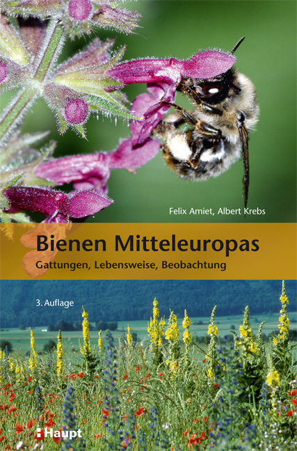 Amiet, F.; Krebs, A. - Bienen Mitteleuropas: Gattungen, Lebenweise, Beobachtung