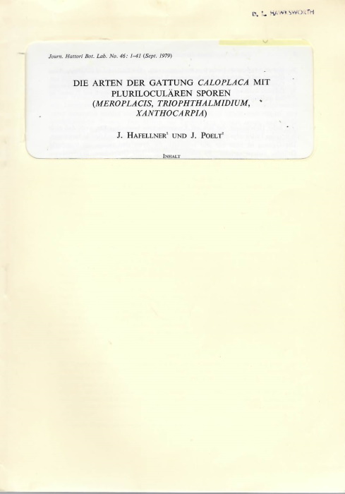 Hafellner, J.; Poelt, J. - Die Arten der Gattung <i>Caloplaca</i> mit pluriloculren Sporen (<i>Meroplacis</i>, <i>Triophthalmidium</i>, <i>Xanthocarpia</i>)