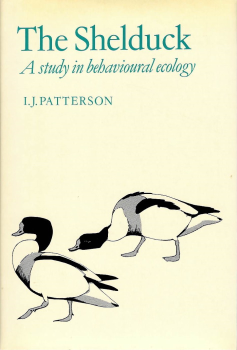 Patterson, I.J. - The Shelduck: A study in behavioural ecology