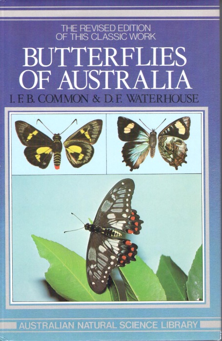 Common, I.F.B.; Waterhouse, D.F. - Butterflies of Australia