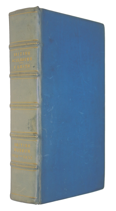 Smith, F. - Catalogue of British Fossorial Hymenoptera, Formicidae, and Vespidae in the Collection of the British Museum [and] Catalogue of British Hymenoptera in the Collection of the British Museum. Part I: Apidae-Bees