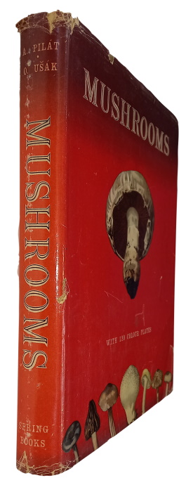 Pilt, A.; Uk, O. - Mushrooms