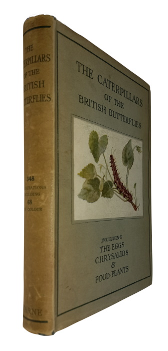 Stokoe, W.J.; Stovin, G.H.T. - The Caterpillars of the British Butterflies including the Eggs, Chrysalids and Food-Plants
