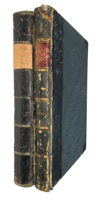 Saunders, E. - The Hymenoptera Aculeata of the British Islands