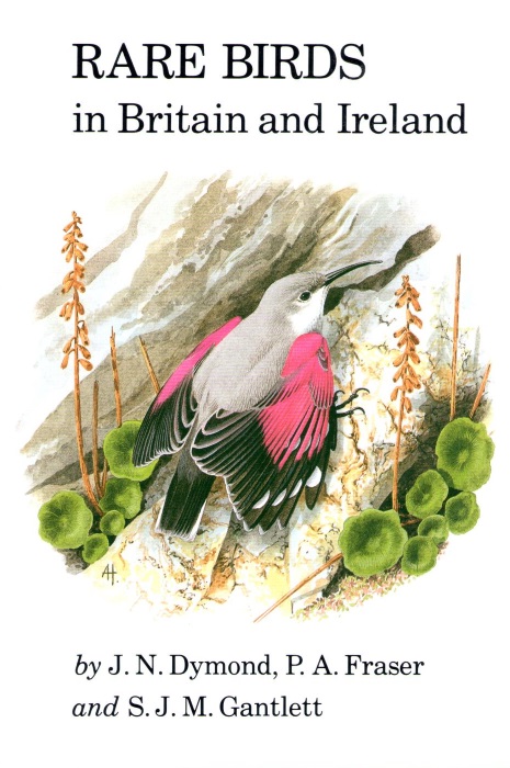 Dymond, J.N.; Fraser, P.A.; Gantlett, S.J.M. - Rare Birds in Britain and Ireland