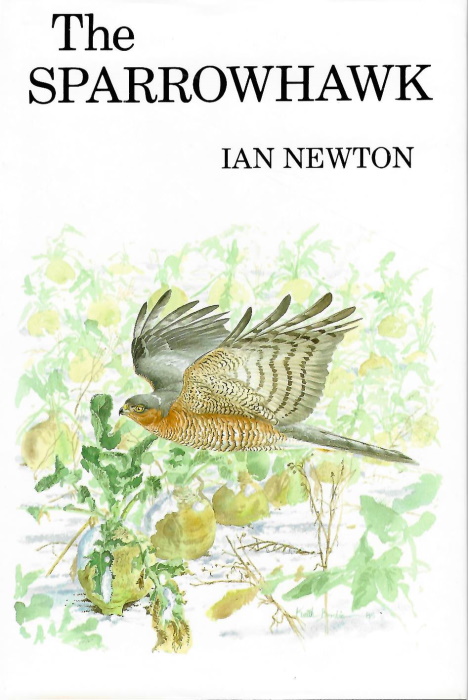 Newton, I. - The Sparrowhawk