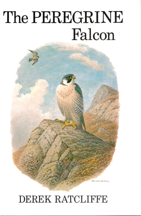 Ratcliffe, D. - The Peregrine Falcon
