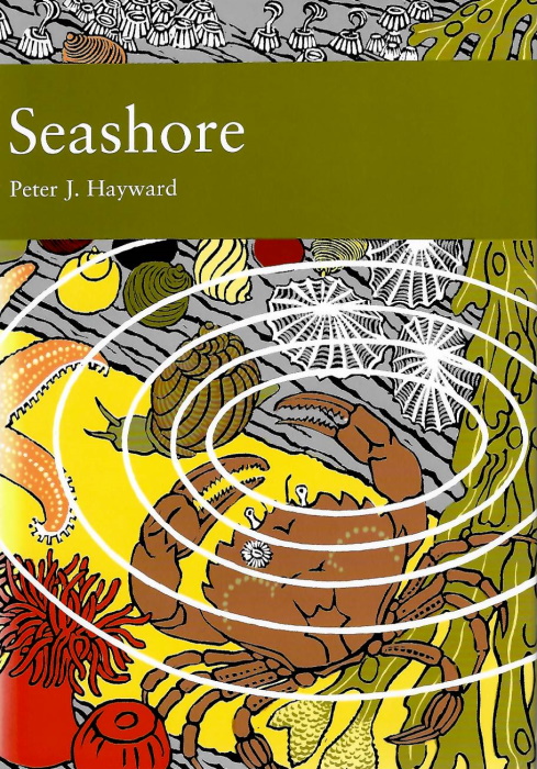 Hayward, P.J. - The Seashore (New Naturalist 94)
