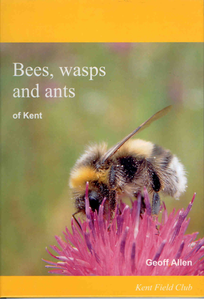 Allen, G. - Bees, Wasps and Ants of Kent: A provisional atlas