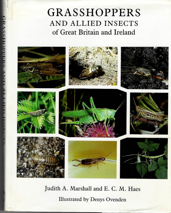 Marshall, J.A; Haes, C.M. - Grasshoppers and Allied Insects of Great Britain and Ireland