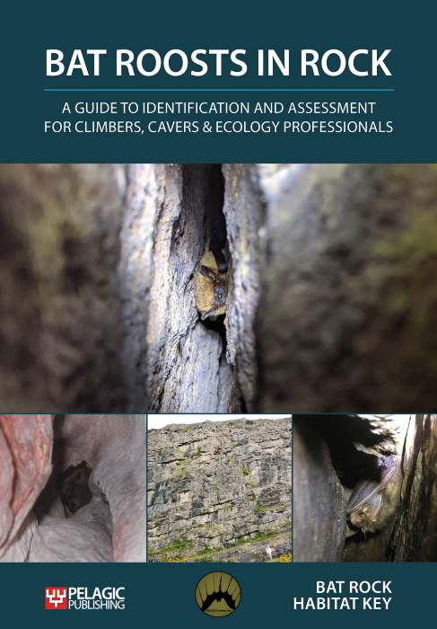 Bat Rock Habitat Key - Bat Roosts in Rocks:A Guide to Identification and Assessment for Climbers, Cavers & Ecology Professionals