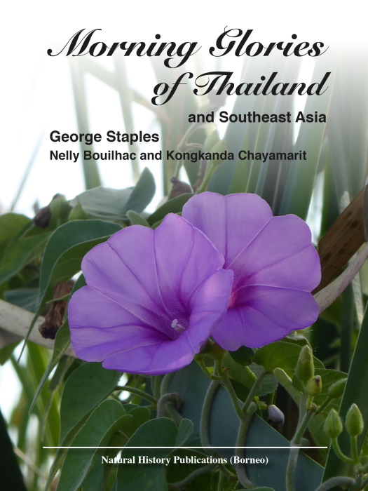 Staples, G.; Bouihlac, N.; Chayamarit, K. - Morning Glories of Thailand and Southeast Asia