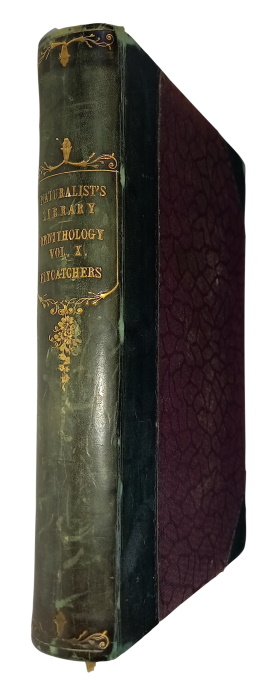 Swainson, William - Flycatchers The Naturalist's Library. Ornithology X