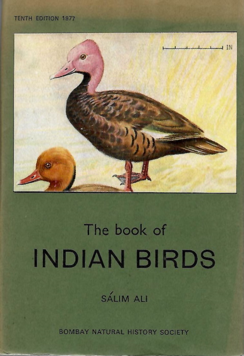 Ali, Salim - The Book of Indian Birds