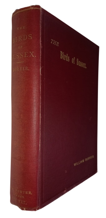 Borrer, W. - Birds of Sussex