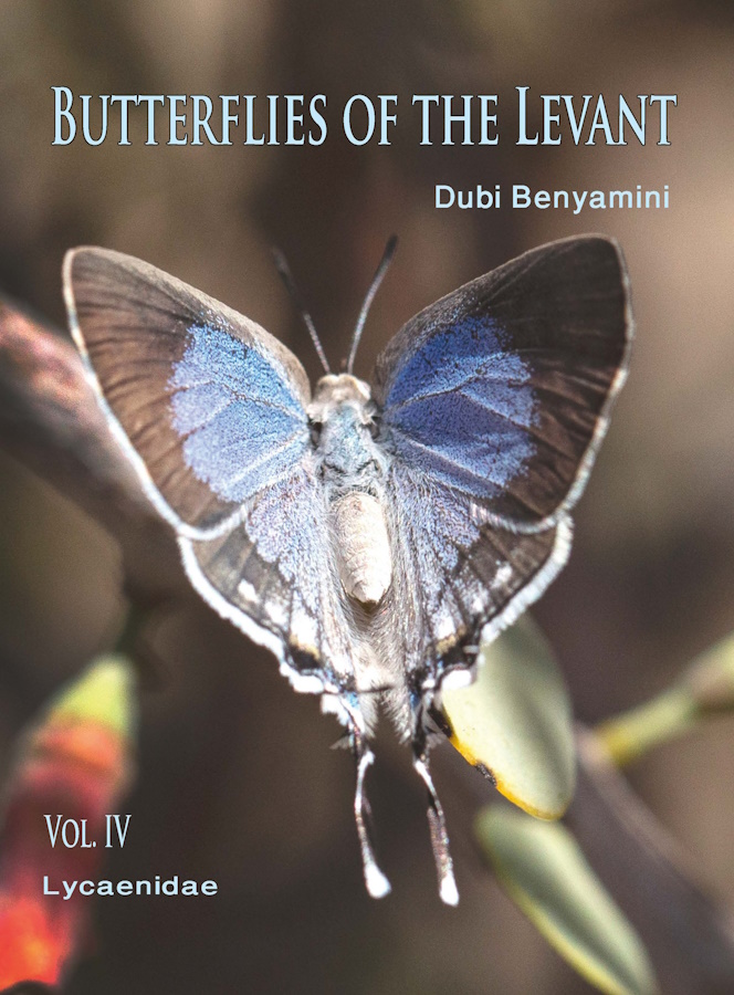Benyamini, D. - Butterflies of the Levant and Neighbouring Areas (Southern Turkey, Syria, Lebanon, Israel, Jordan, Egypt, North-west Saudi Arabia & Cyprus). Vol. IV: Lycaenidae