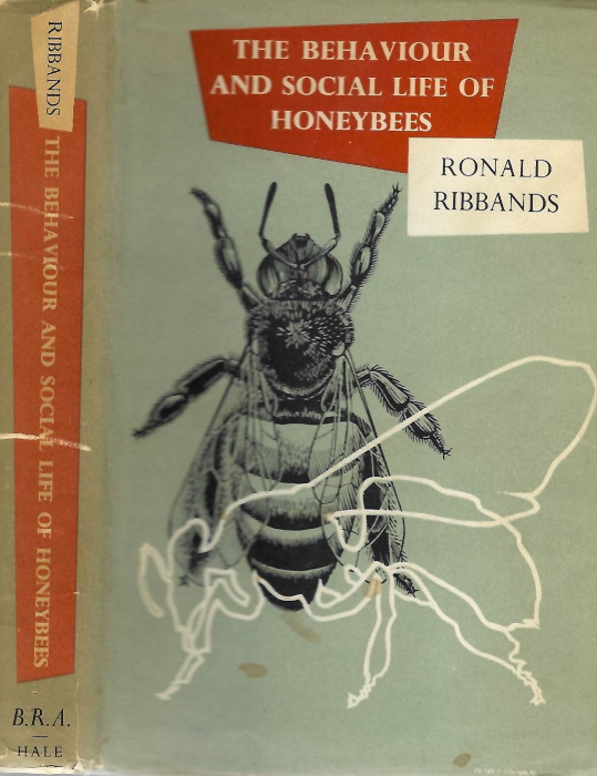 Ribbands, C.R. - The Behaviour and Social Life of Honeybees