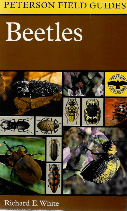 White, R.E. - A Field Guide to the Beetles of North America