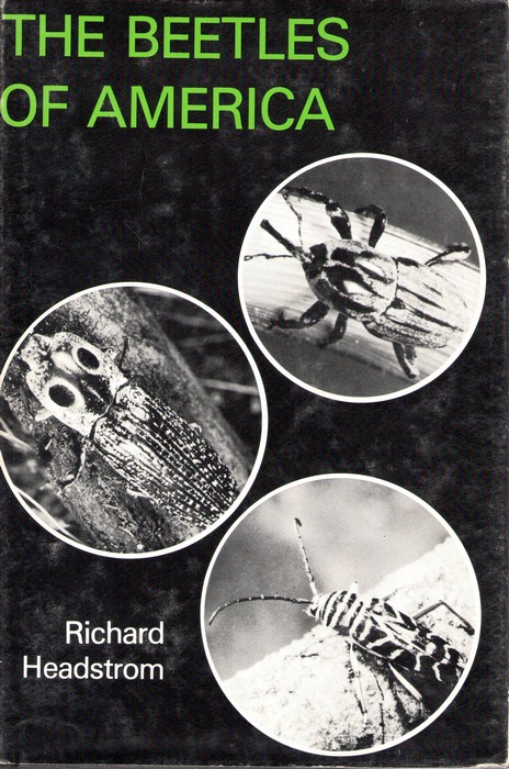 Headstrom, R. - The Beetles of America