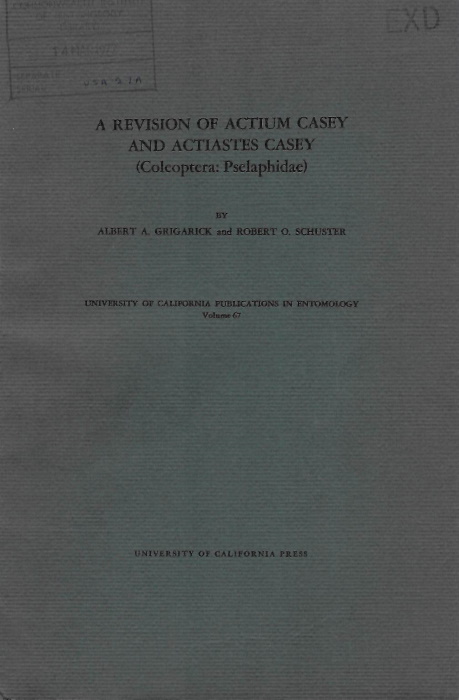 Grigarick, A.A.; Schuster, R.O. - Revision of <i>Actium</i> Casey and <i>Actiates</i> Casey (Coleoptera: Pselaphidae)