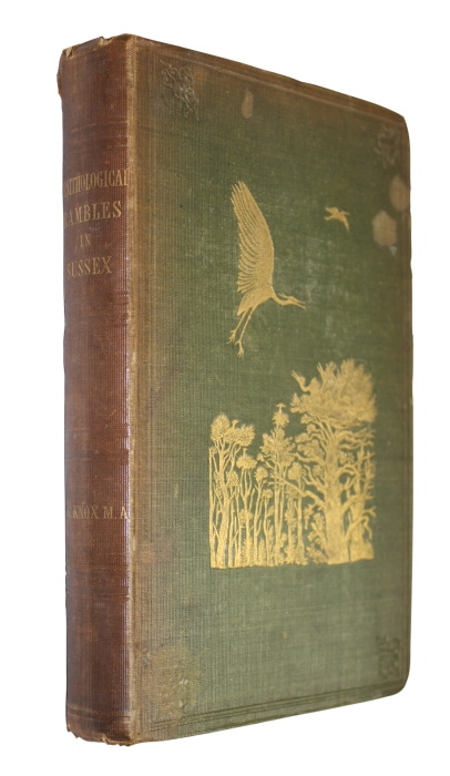 Knox, A.E. - Ornithological Rambles in Sussex; with a Systematic Catalogue of the Birds of that County, and Remarks on their Local Distribution