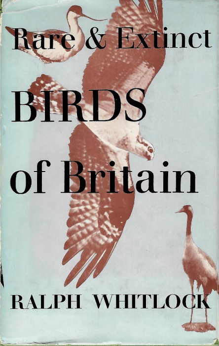 Whitlock, R. - Rare and Extinct Birds of Britain