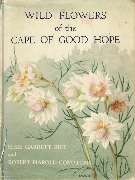 Rice, E.G.; Compton, R.H. - Wild Flowers of the Cape of Good Hope