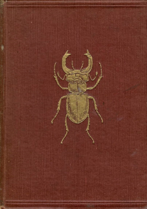 Hofmann, E.; Kirby, W.E. - The Young Beetle-Collector's Handbook