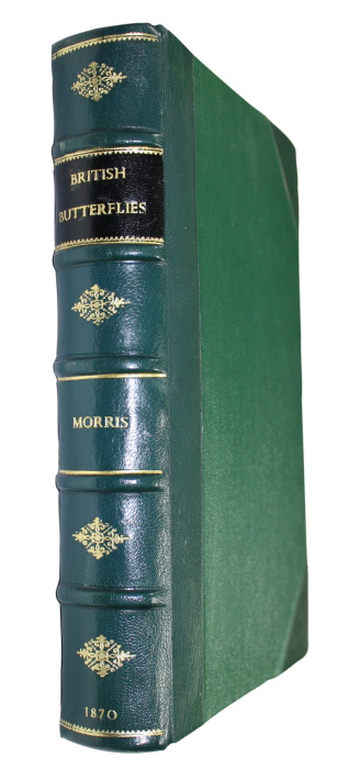 Morris, F.O. - A History of British Butterflies
