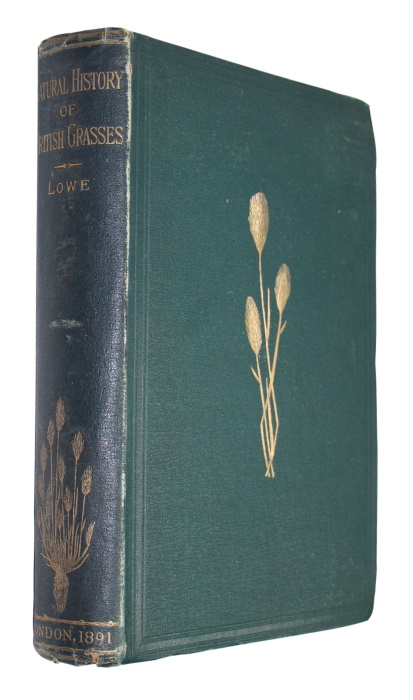 Lowe, E.J. - A Natural History of British Grasses