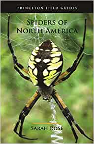 Rose, S. - Spiders of North America