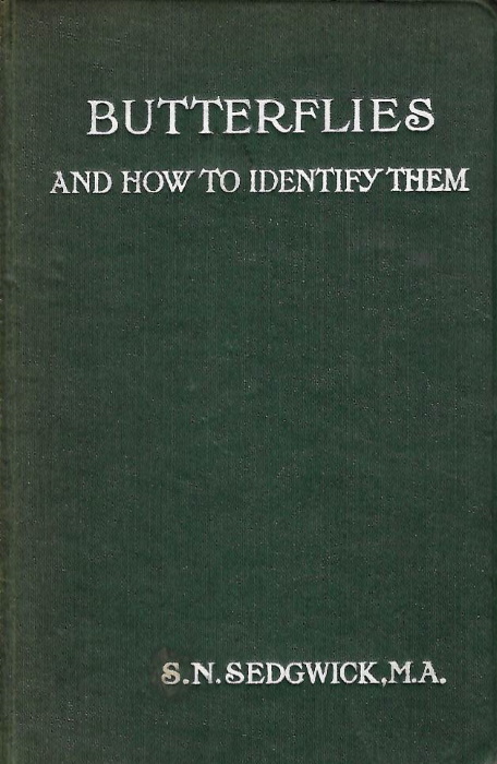 Sedgwick, S.N. - Butterflies and How to Identify Them