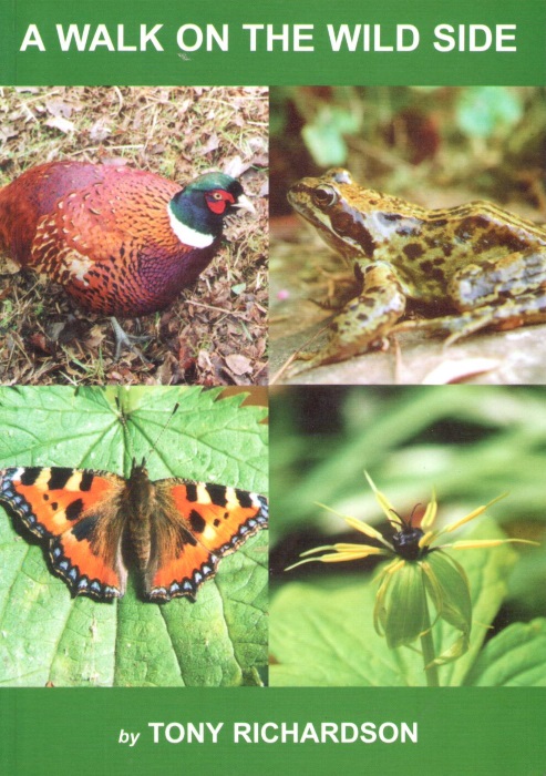 Richardson, T. - A Walk on the Wild Side: The story of the 'Wild Bunch' and their 20 years study of the flora and fauna of Yardley Chase area 1980-2000