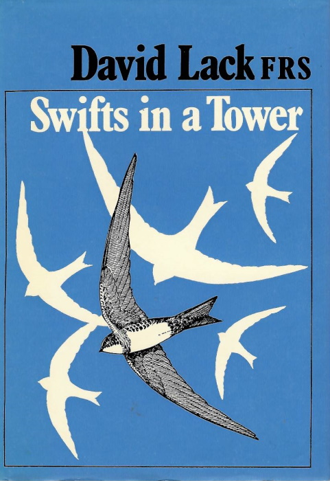 Lack, D. - Swifts in a Tower